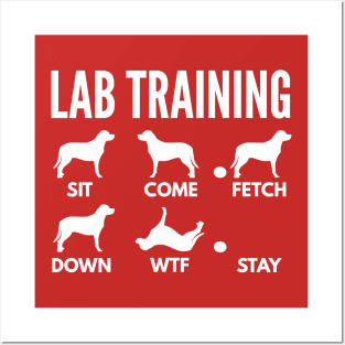 Lab Training Lab Dog Tricks Posters and Art